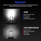 White 30pcs Led License Plate Interior Light Bulb T10 194 168 W5w 2825  6000k