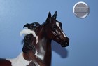 Livingston-american Saddlebred Stallion Mold-breyer Traditional