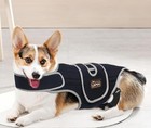 Dog Back Brace For Ivdd And Slipped Discs - For Dachshunds  Corgis - Size Medium