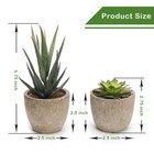 Set Of 5 Artificial Succulent Plants In Pots Assorted Decorative Faux Cactus