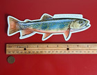 Epf Brook Trout  realistic  Die Cut Glossy Sticker 