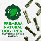 Greenies Teenie Size Original Flavor Adult Natural Dental Dog Treats  130 Count