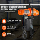 Electric Chain Hoist Single Phase Crane Hoist 2200 Lbs Load 10 Ft Lifting