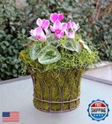 Supermoss  26907  Spanish Moss Preserved  Grass  4oz  120 Cubic In Bag  appx 