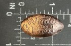 Disneyland Park Critter Country Winnie The Pooh Tigger Elongated Pressed Penny
