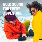 Flip 5  Waterproof Portable Bluetooth Speaker  Black  Small