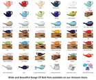 Ceramic Neti Pot  Dishwasher Safe  Premium Handcrafted With 2 Silicone Nozzle   