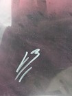 Bosslogic Daredevil Signed Art Print 11x17 Marvel Comics Lgx Coa Wall Art    
