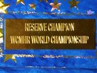Vintage Horse Plaque 7  X 5  Reserve Champion Wcmhr World Championship