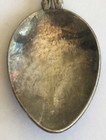 Vintage Souvenir Spoon Us Collectible San Diego Wild Animal Park At San Pasqual