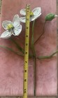 Vintage French Seed Bead Flowers Handmade Beautiful     