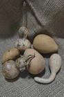 6 Dried Gourds Longneck Bottleneck Pear Shape For Crafting   Decoration 3  - 5 