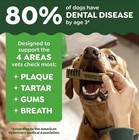 Greenies Natural Dental Dog Treats Teenie Size  Original Flavor  3 Oz   11 Count