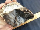 Css  2 5 Lb  Piece Of Rare Snake River Dendritic Agate Rough Rock