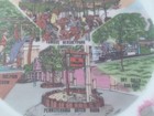 Vintage Hershey Park Amusement Park Pennsylvania Souvenir Pink Plate 8    Japan
