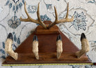 Vintage Taxidermy Deer Antler Hoof Coat Rack Hat Rack Man Cave Bar