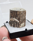 Old Stock Staurolite Rare Locality Crystal Mineral Thumbnail Specimen - New   