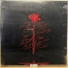 Doja Cat Signed    vie    Vinyl Insert Lp Album New Sealed Record