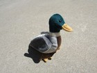 Ty Beanie Baby Jake The Mallard Duck Plush Toy April 16  1997 New With Tag
