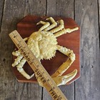 King Crab Taxidermy Vintage Mount
