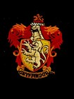 Harry Potter Gryffindor Robe Costume W tie Black W burgundy Lining  Junior 