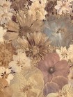 Genuine Dried Pressed Flowers In Oval Plastic Frame 14    X 11    Mcm