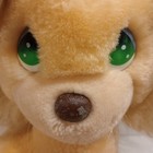 Precious Moments Leon Lion Vintage 12  Plush Applause 1985 Stuffed Animal Toy
