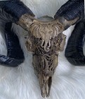 Ram Carved Skull Elephant Carved Goat Skull Longhorns Carved Animal Skull