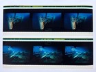 Titanic  ghosts Of The Abyss -  6 Cells   70mm Imax Film