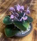 Vtg Petite Bovano Of Cheshire Enamel Floral Decoration Planter Cyclamen Persicum