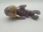 Ty Beanie Baby Jolly The Walrus 4th Generation Pvc Filled 1996 Used