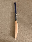 Dsc Grade 1 Cricket Bat