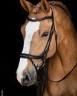 Schockemohle Ancona Select Bridle - Black-silver   Duty Paid