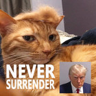 Trump Style Pet Costume Dog Wig  Dog Clothes With Collar   Tie Head Wear Apparel