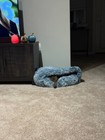 Plush Dog Cat Pet Sleeping Bed Anti-slip Kennel Puppy Cave Warm Nest Super Soft