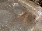 Vintage Barker Ellis Silverplate Tray     Ornate England Serving Platter