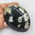 Large Abalone Shell Natural Paua Black White Seashell Shiny Shell Beach 4-5  In