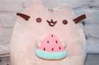 Gund Limited Edition Pusheen The Cat Plush Toy W  Watermelon Its Sugar Exclusive
