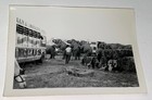 Rare Antique Vintage American Circus Elephants Practice Trick Snapshot Photo  Us