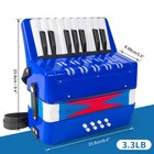 Accordion  17 Keys Piano Accordion 8 Bass With Straps For Beginners Kids Stud   