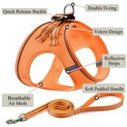 Dog Harness With Leash Set  No Pull Adjustable Reflective Step-in Puppy Pet V   
