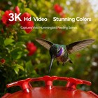 Nafnti Hummingbird Feeder Camera