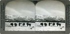 Lot  4 Of 25 Vintage Antique Stereoview Cards All Original W  Free Shipping
