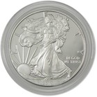 2013 W American Silver Eagle Choice Proof Bullion  1 Coin Ogp Coa