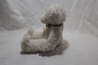 First   Main Plush Bear White Scraggles 1864 Gently Used 8  Sitting Cute
