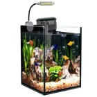 1 5 Gallon Fish Tank Starter Kits  Nano Glass Aquarium With Filter  Led Light 