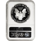 1995-p Proof American Silver Eagle One Dollar Coin Ngc Pf70 Ultra Cameo