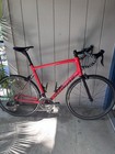 Men s 2018 Specialized Allez Sprint Comp Road Bike W  Carbon Fork - Size 61