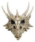 Ebros Elder Jurassic Dragon Head Skull Realistic Fossil Statue 9  Long Figurine