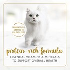 Wet Cat Food  Poultry   Beef Pat    Variety Pack     30 Cans